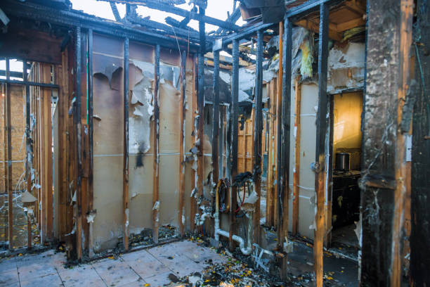 Professional Odor Removal technician working in Center, CO